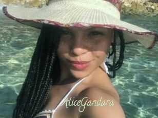 AliceGandara