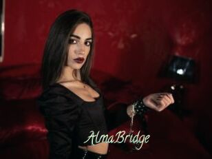 AlmaBridge