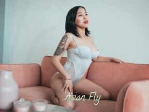 Asian_Fly