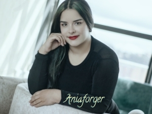 Aniaforger