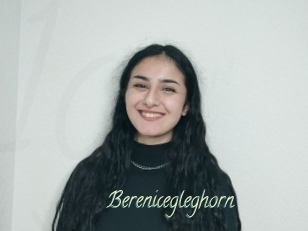 Berenicegleghorn