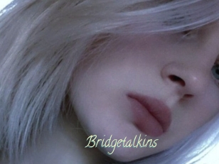 Bridgetalkins