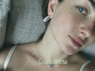 Cclandestina