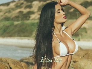 Elisa_koe