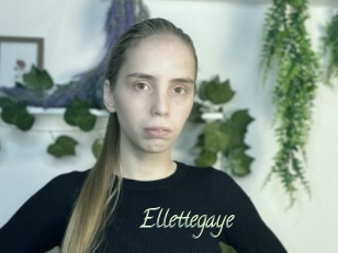 Ellettegaye