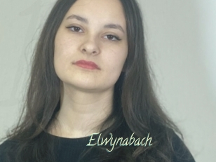 Elwynabach