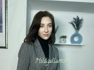 Hildgallamore