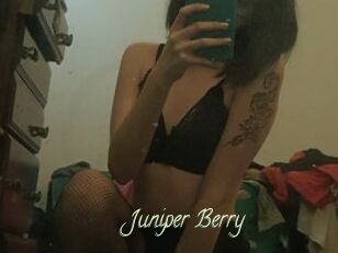 Juniper_Berry