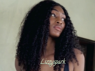 Lizzyspark