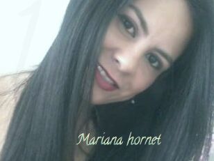 Mariana_hornet