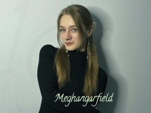 Meghangarfield