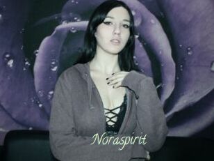 Noraspirit