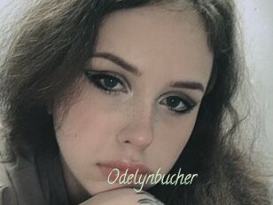 Odelynbucher