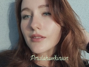 Petulahawkinson