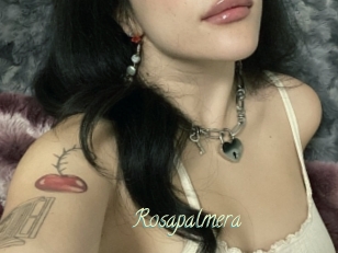 Rosapalmera