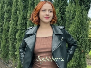 Sophicherrie