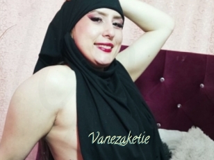 Vanezaketie