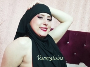 Vanezaluins