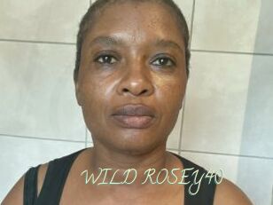 WILD_ROSEY40