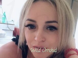 Wild_Orrchid