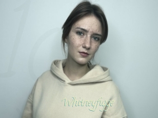 Whitneyfigge