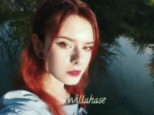 Willahase