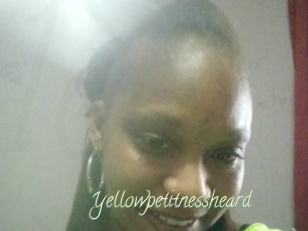 Yellowpetitnessheard